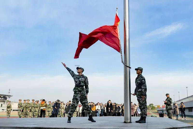 小伙救下残疾野狼,每天吃肉150元,野狼为报恩给狗配种年入百万